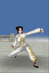 download Kung Fu 3D - Lian Huan Quan apk